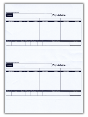 SE95s Payslips